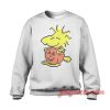 Pumpkin Pixel Woodstock Sweatshirt