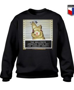 The Dollyrots Arrested Youth Sweatshirt 247x300 - Shop Unique Graphic Cool Shirt Designs